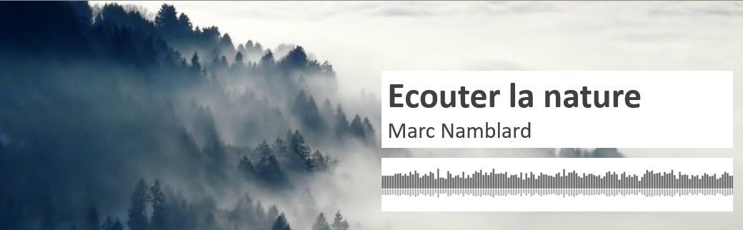 Ecouter la nature: Marc nous fait découvrir son métier d’audio-naturaliste